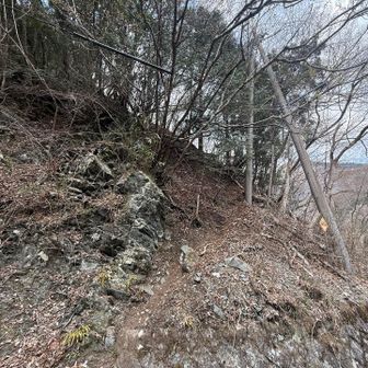 林道に下りてきたー
最後のところを振り返り

最後の最後、めっちゃ急な坂
🐯ロープ🪢欲しいところです