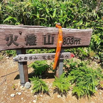 渓の流れが無くなった後は道なき道を歩いて火燈山へ登頂