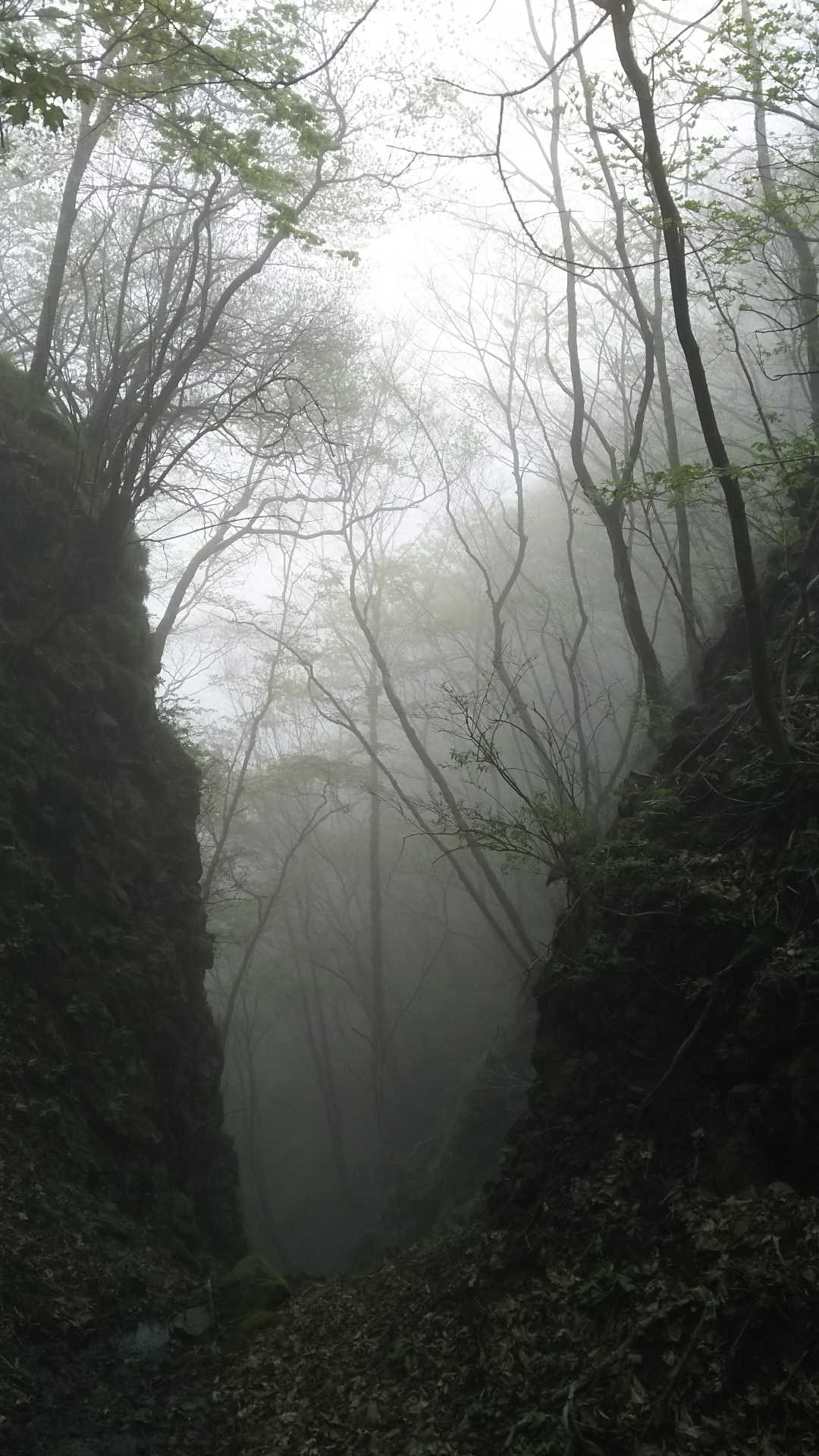 袴腰 往復コースの写真