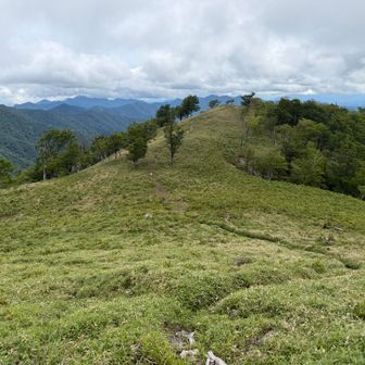 稜線歩きも楽しめた