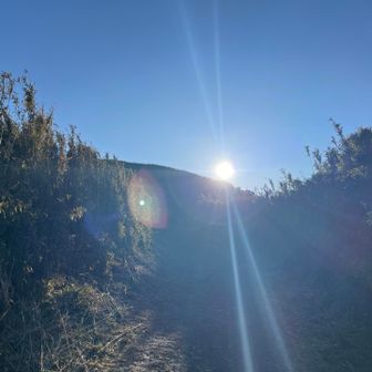 幸せの太陽☀️