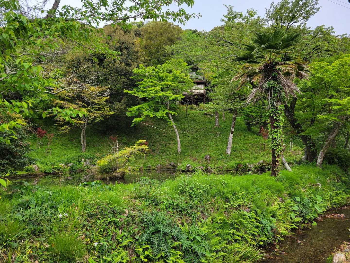 こんな綺麗なとこがあるんだ