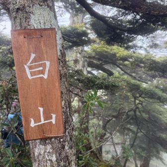 七座目の白山
天気の良い日はここから
上州武尊山⛰️が見えるそうです