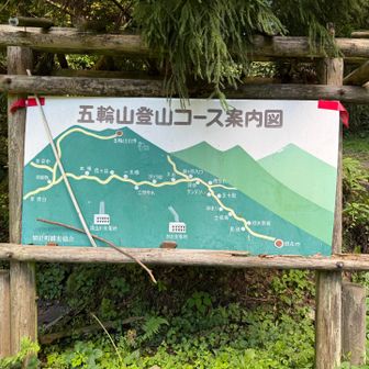 この辺りに一応🅿️アリですが、オススメしません🙅