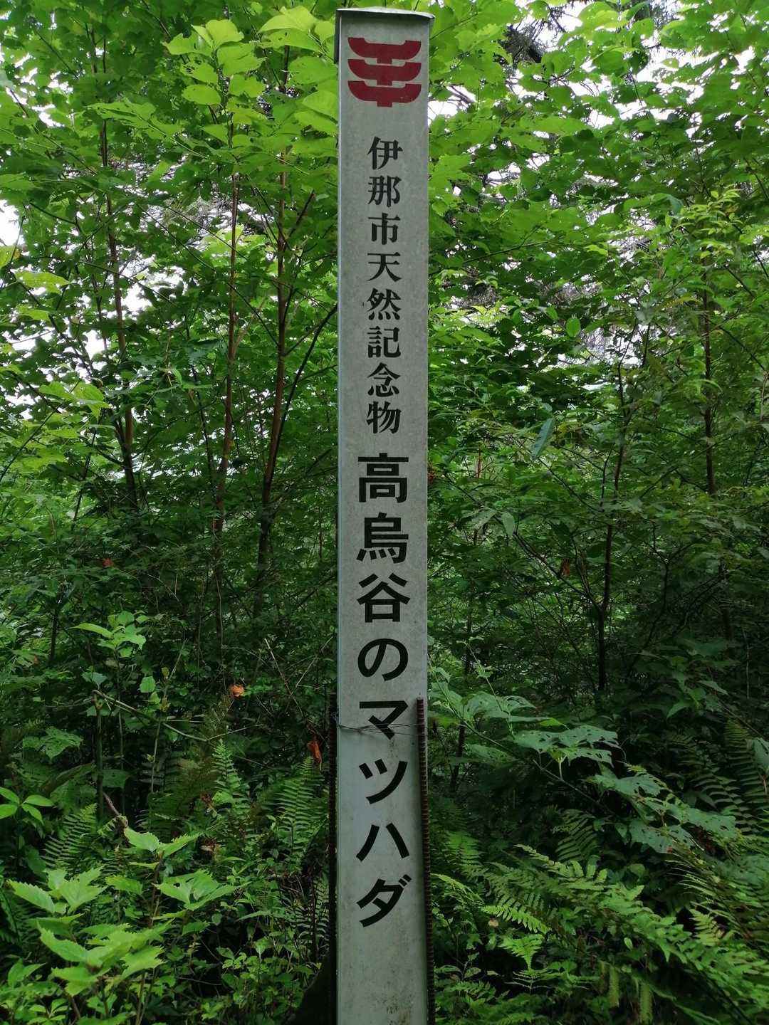 ポイント