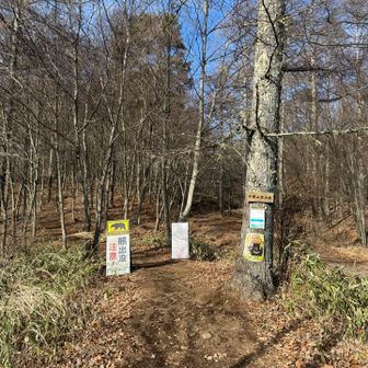 くまさん寝てるかなぁー🐻