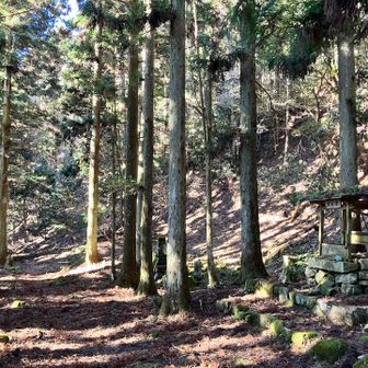 高仙寺山という名の通り高仙寺があったらしい。最近、寺山続きだな😆