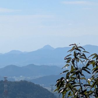 金華山🏯を👀
