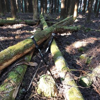 フナクボの山頂に到着！
眺望なし。山頂標識は見つからず。