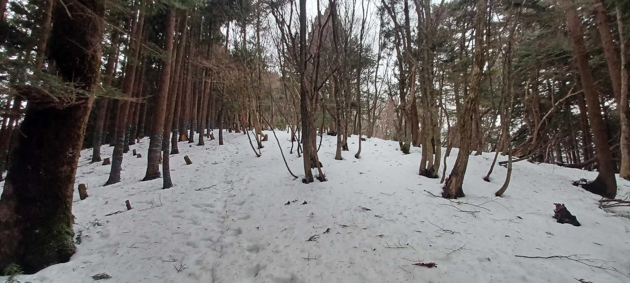 ワカン大きな歯が刺さって滑らず快適
