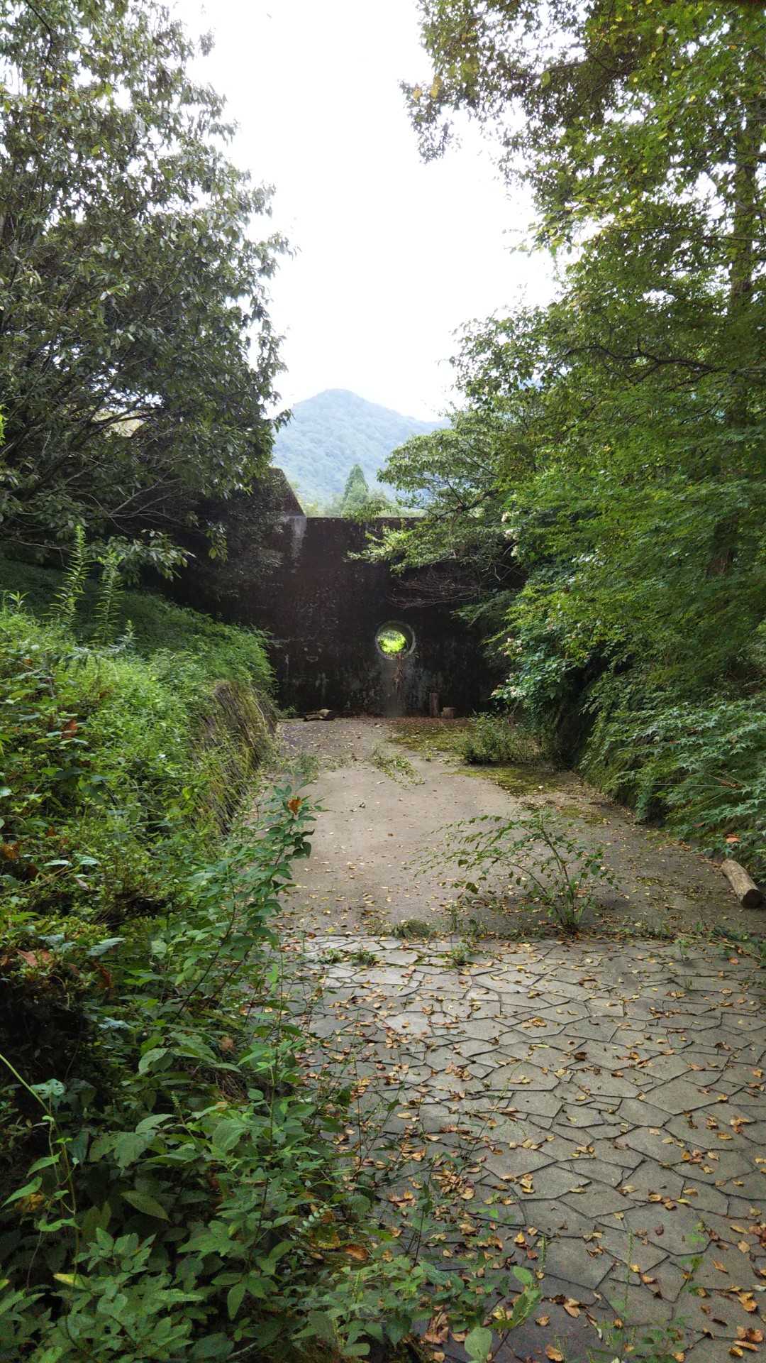 ながら川ふれあいの森-百々ヶ峰 往復コースの写真