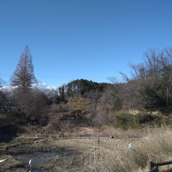 風が強くてめっちゃ寒かったけど、これだけ見ると穏やかな風景😄
