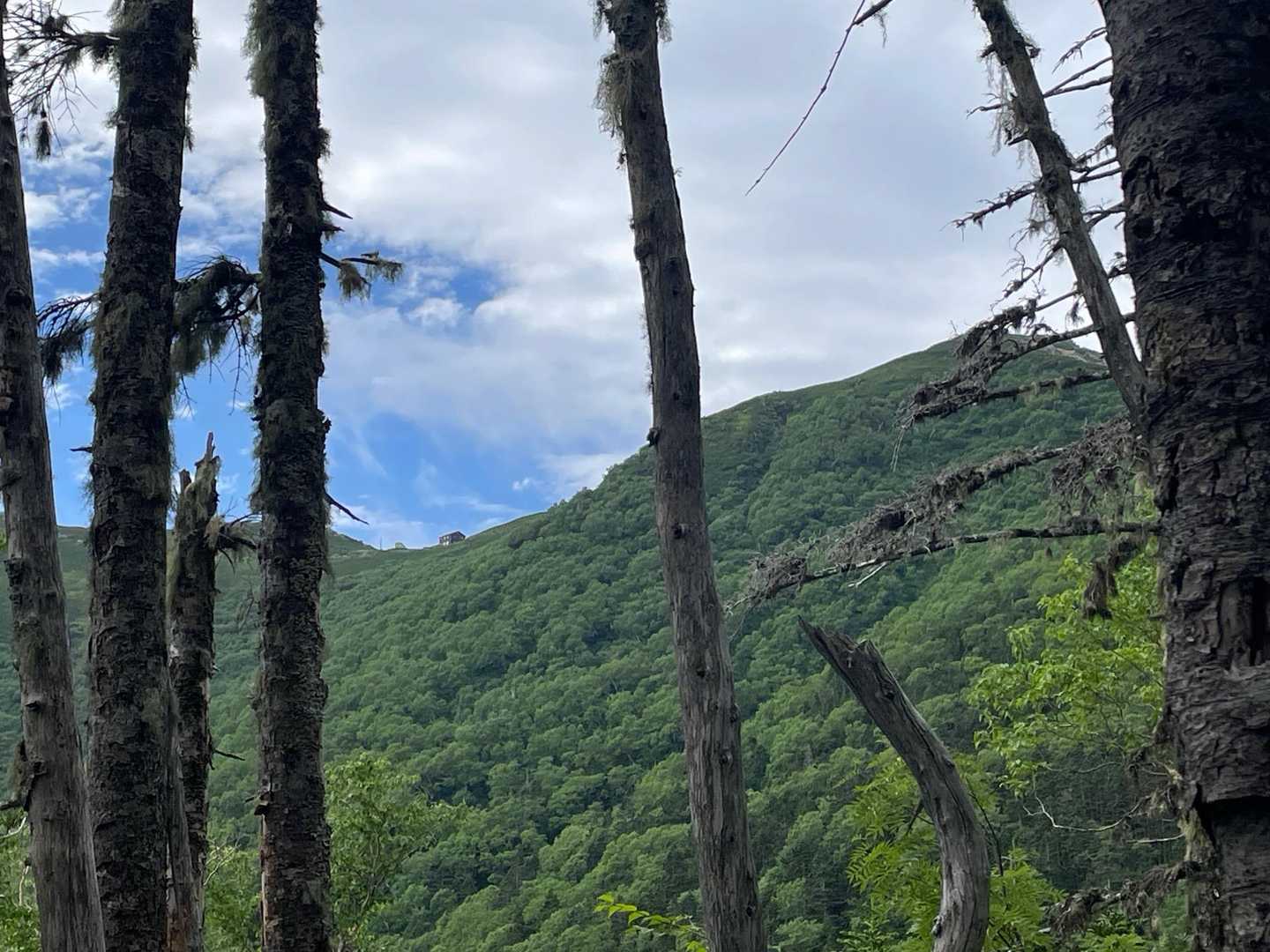 西駒山荘🛖見えたー！
