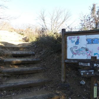 あしがくぼ山の花道に入ります