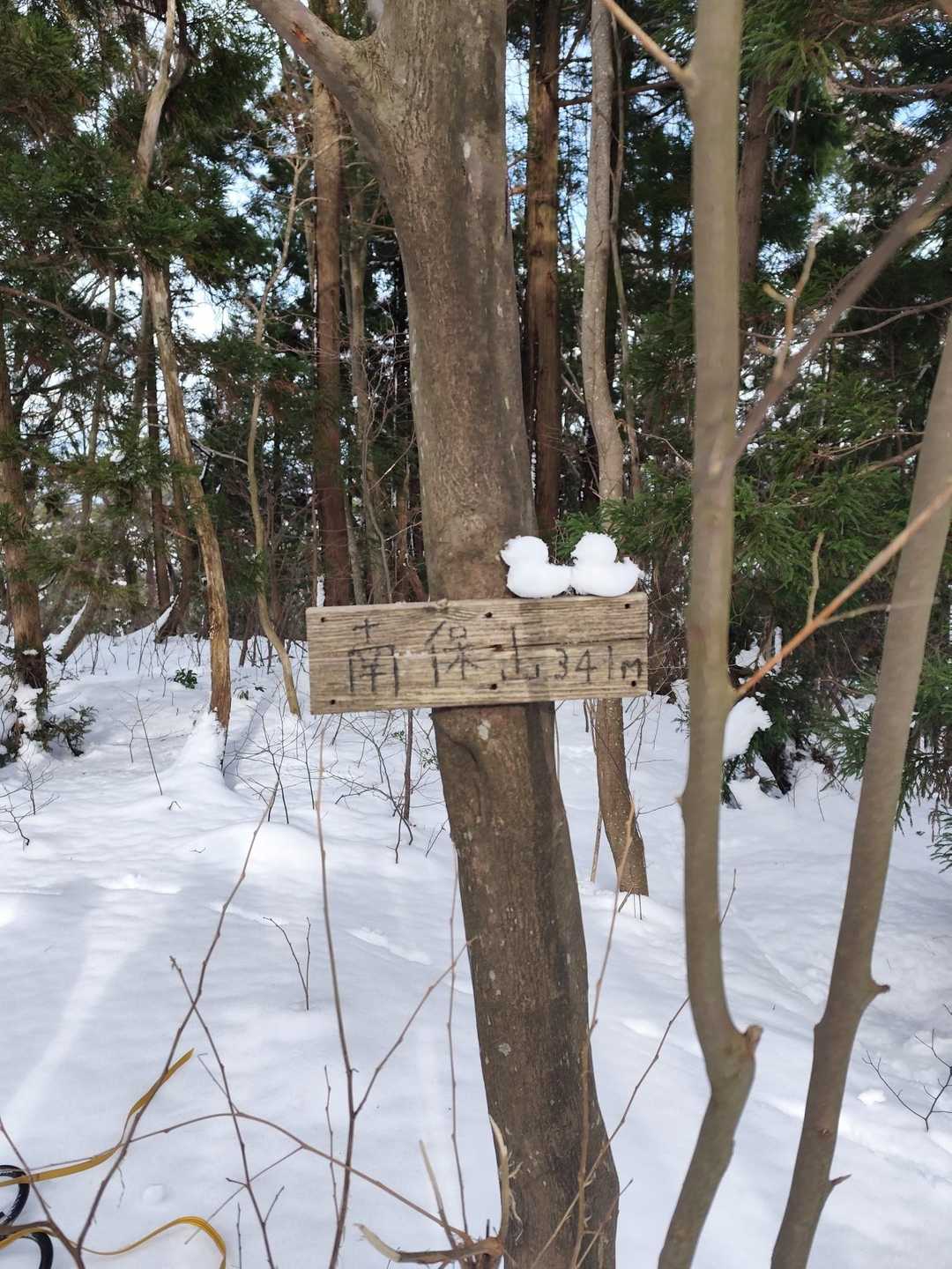 南保山🏔️