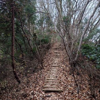 さて、登り返してコースに戻ります
次は、赤ぼっこです！