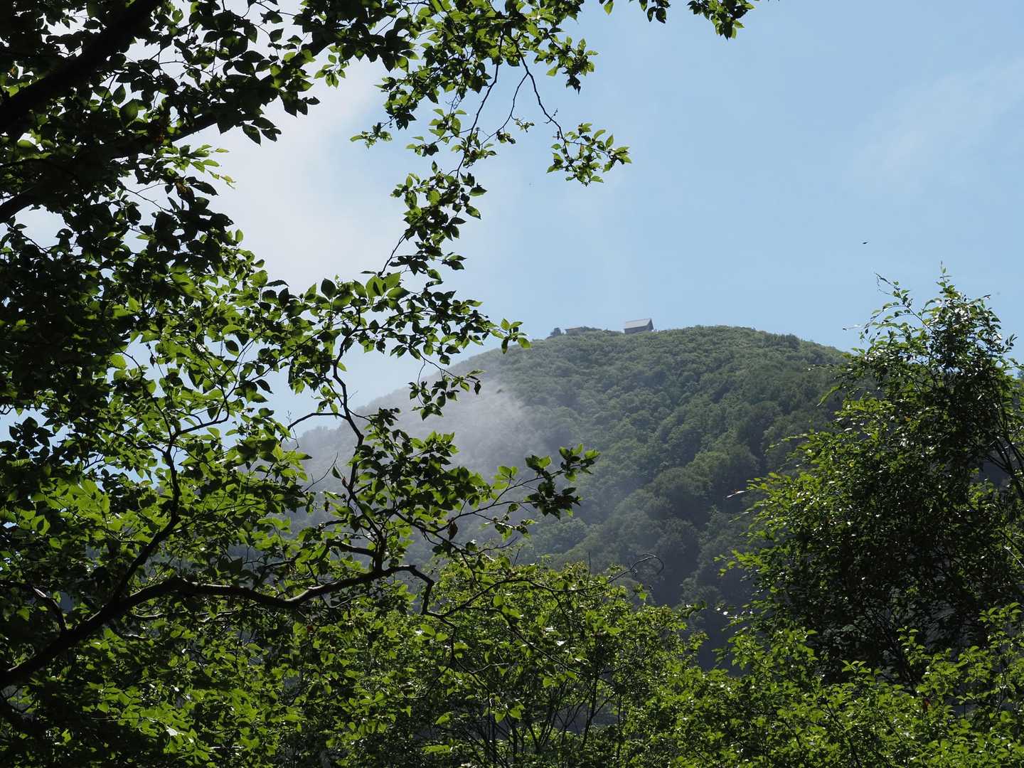 林の隙間から山頂が覗く