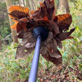 ストックにめちゃめちゃ落ち葉🍂
星みたい🤩