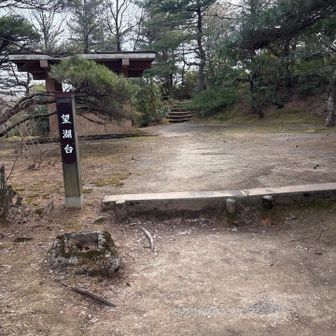 望湖台に帰ってきたー
ダンナさんにはそこで待つように言って戻ったら、柿の種食べてました🤣