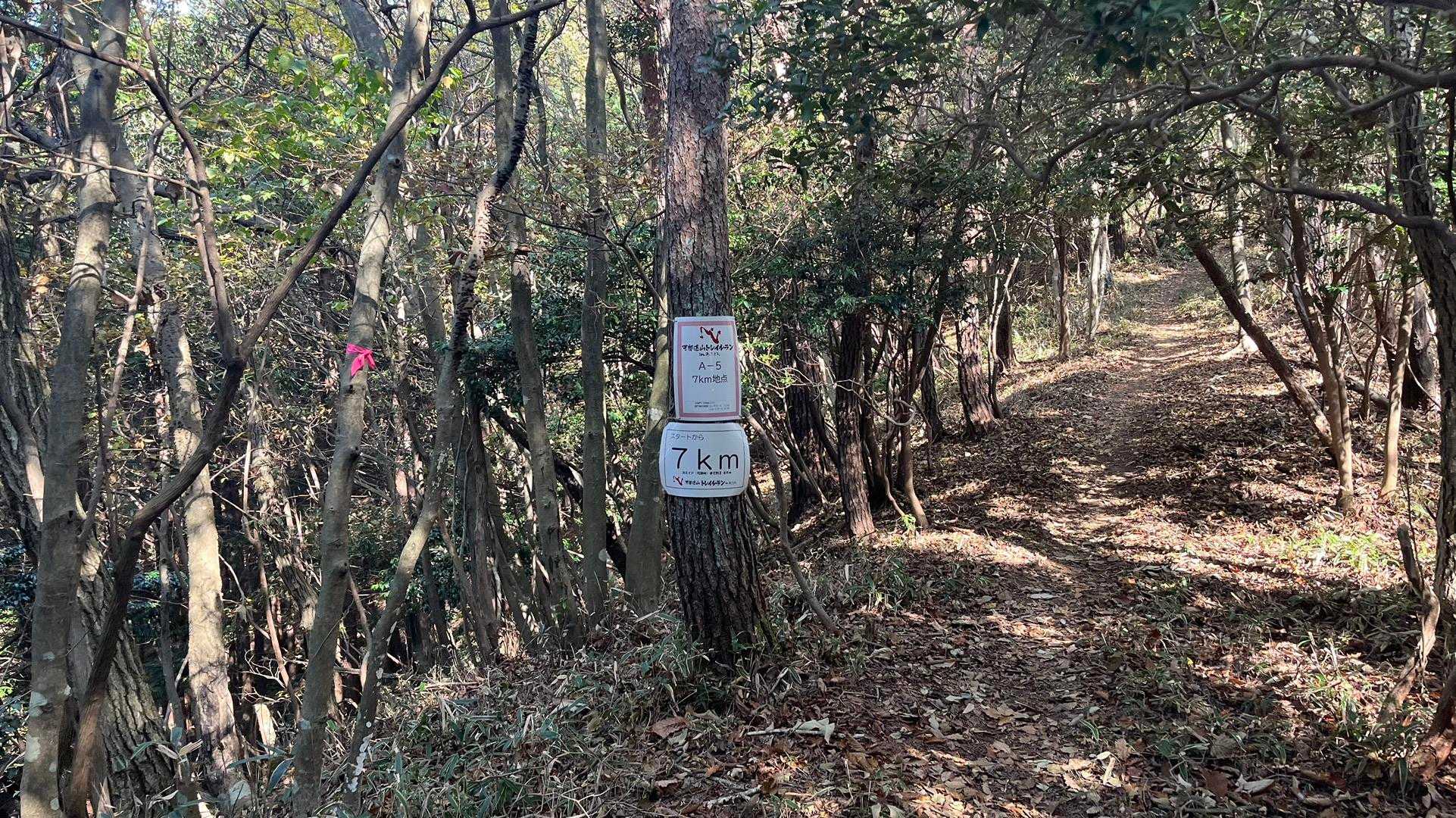 7km