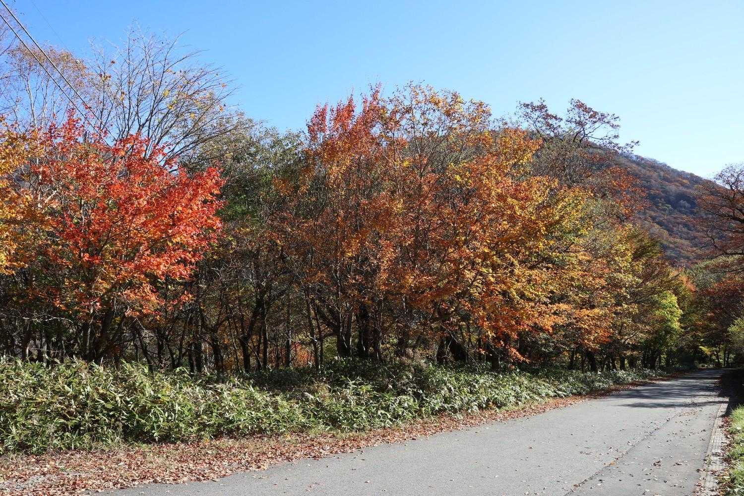 長七郎-地蔵岳 周遊コースの写真