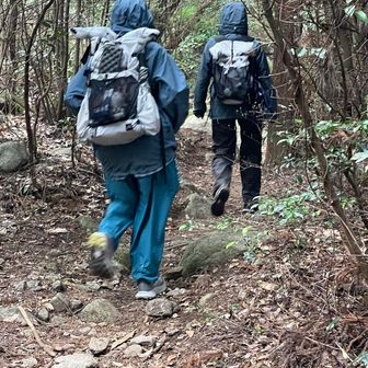 私いつも全身ブルーマン