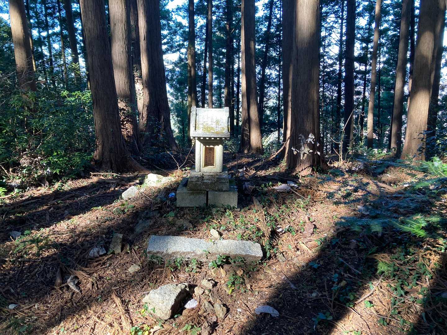 すぐ烏森山到着　祠がある
展望なし