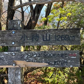 小持山1269ｍ