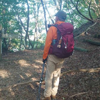 右の階段登るとスカイテラス