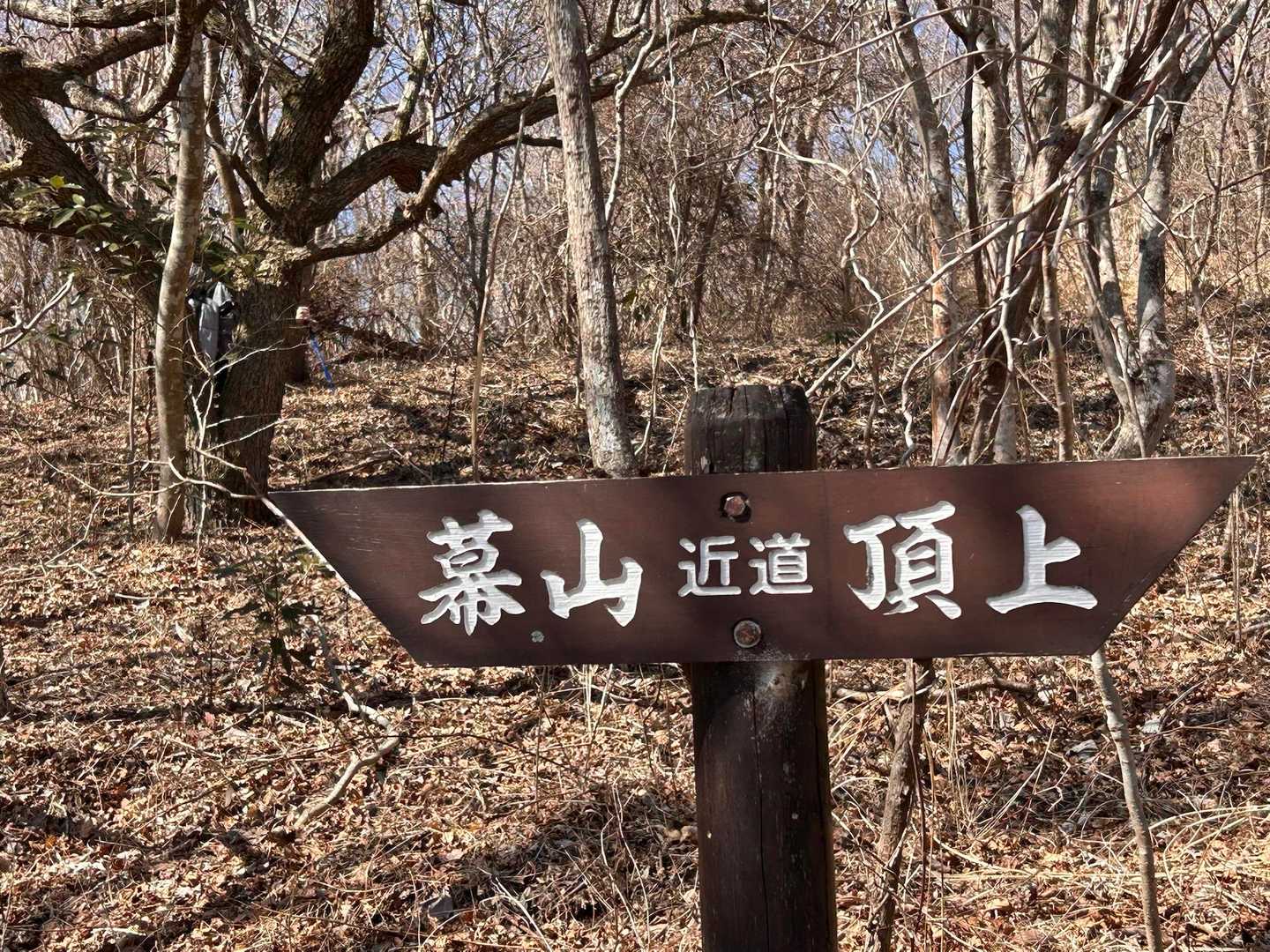 山頂直下にこの案内
？？　近道はどっち？
初めての人は皆んなここで考えてた😅
私たちもどっち❓なんて
左真っ直ぐで正解✅
どっちに行っても距離は変わらないかも