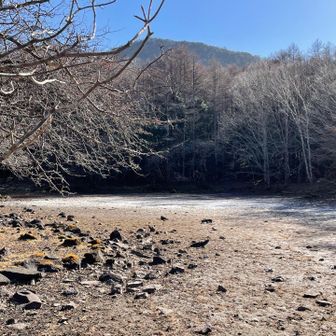 大沼は枯れていて、湿地帯のようになっていて足を踏み入れるとヌルヌルと足が沈む👣

大沼は割れ目噴火によって形成された⚡️
割れ目噴火では玄武岩が大量に噴出されるらしく、それを証明するかのように黒い岩がゴロゴロと辺りに散らばっていた。