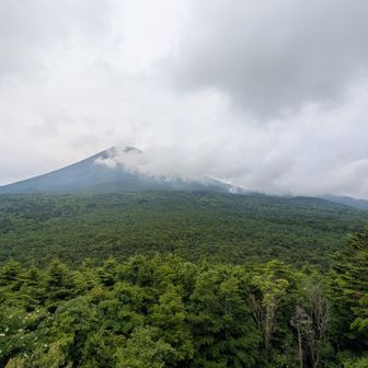 最後、オマケの腰切塚からの展望です。
この距離だととてもおだやかな富士山ですね。