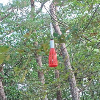 バクチ岩の70㍍先に熊鈴が落ちてました。
落とし主様見つかると良いのだけど…