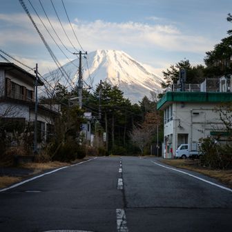 舗装路にでました