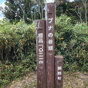 4つ目⛰️