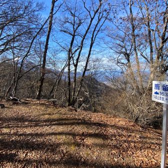 鹿留山山頂、富士山は木々の向こう
