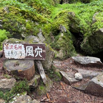 ちょっと涼しかった
