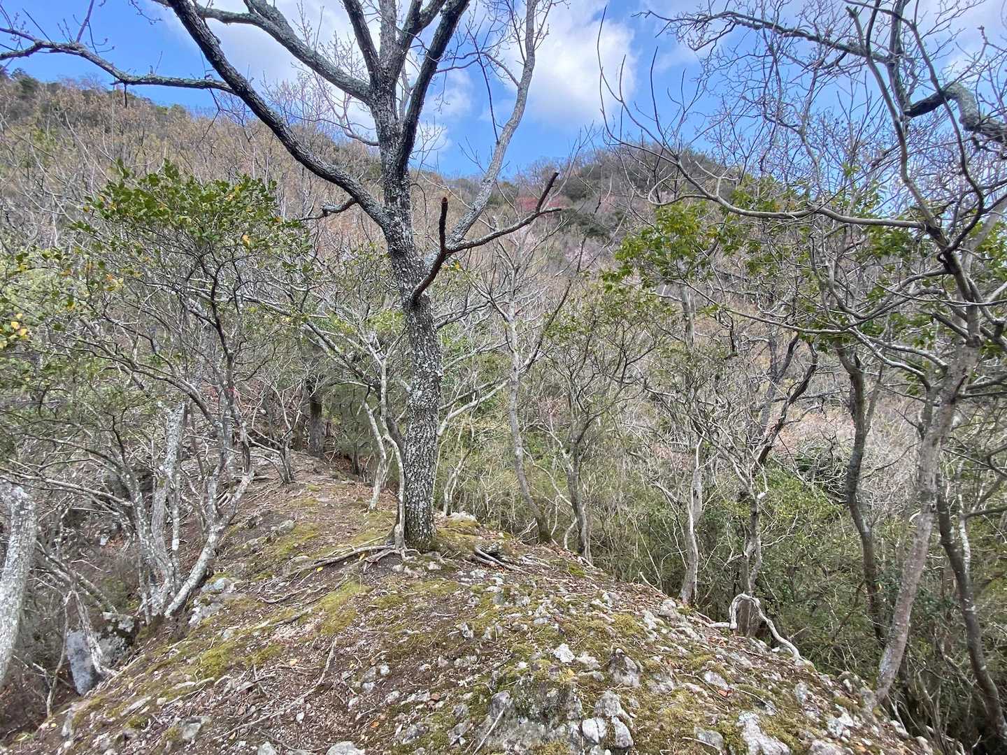 和尚山-鷹取山 周回コースの写真