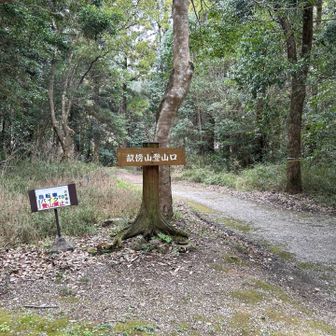 山道を左に折れると登山口です