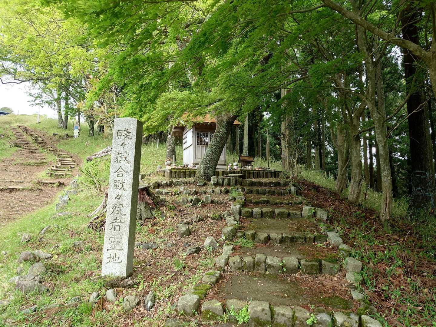 いよいよ古戦場だ🙏