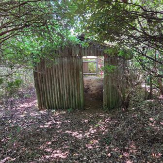 廃墟の小鳥観察小屋😭
