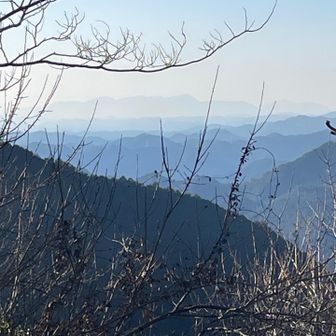 丹沢山地はうっすらと見えます。山火事は大丈夫か…。