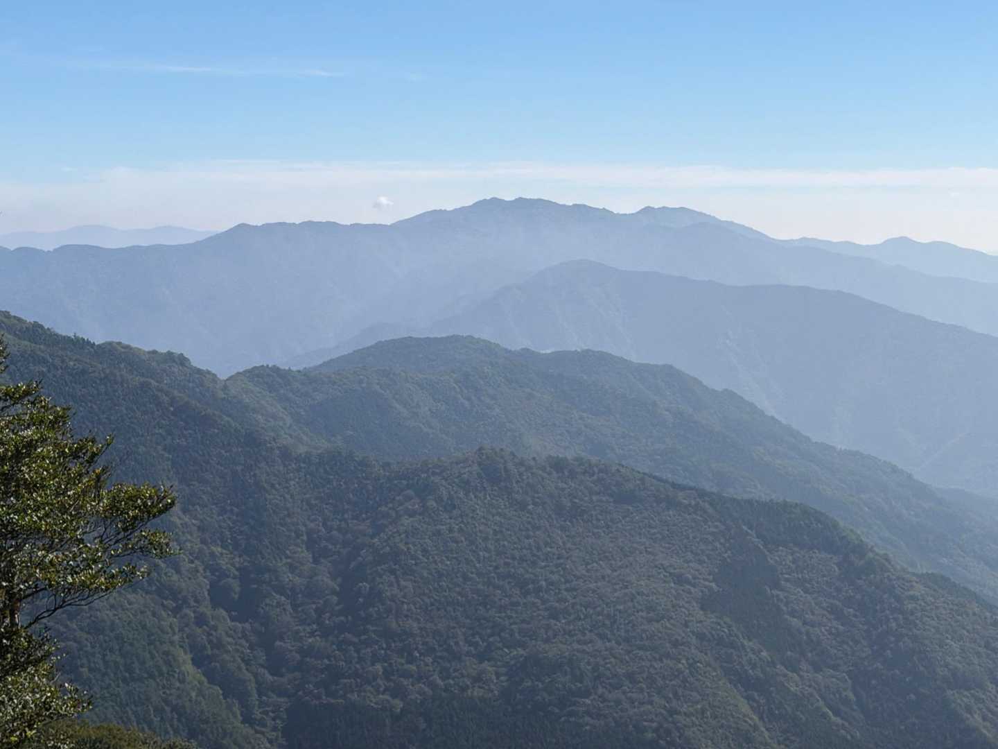 説明出来ないですが、めちゃくちゃ良い🥰