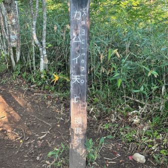カムイ天上着特に何もなし