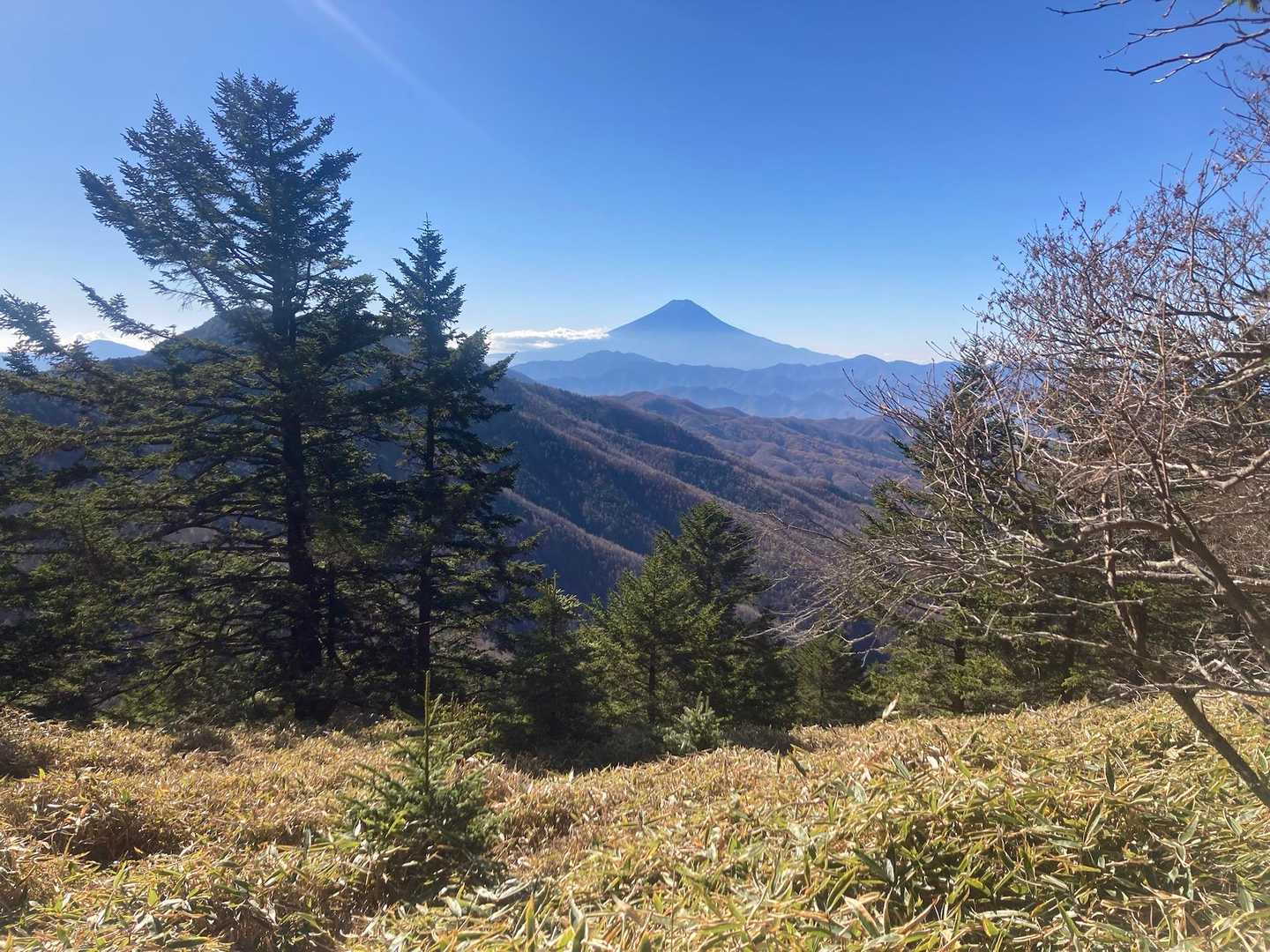 気持ち良い秋晴れ。

…だが、11月中旬に雪ナシ富士山…
オソロシヤ…