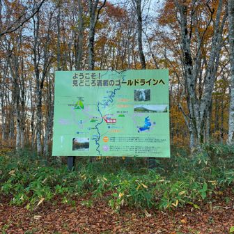 楽しかった！
冒険最高😁