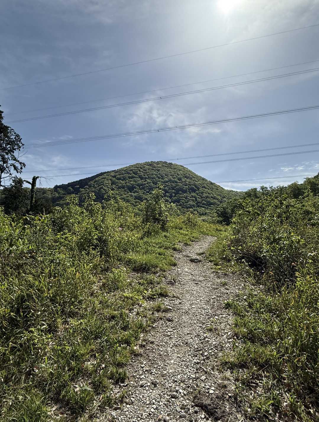 ダイヤモンドトレール起点-穴虫峠-ダイトレ北入口-二上山 往復コースの写真