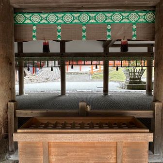 春日大社で安全祈願⛩️