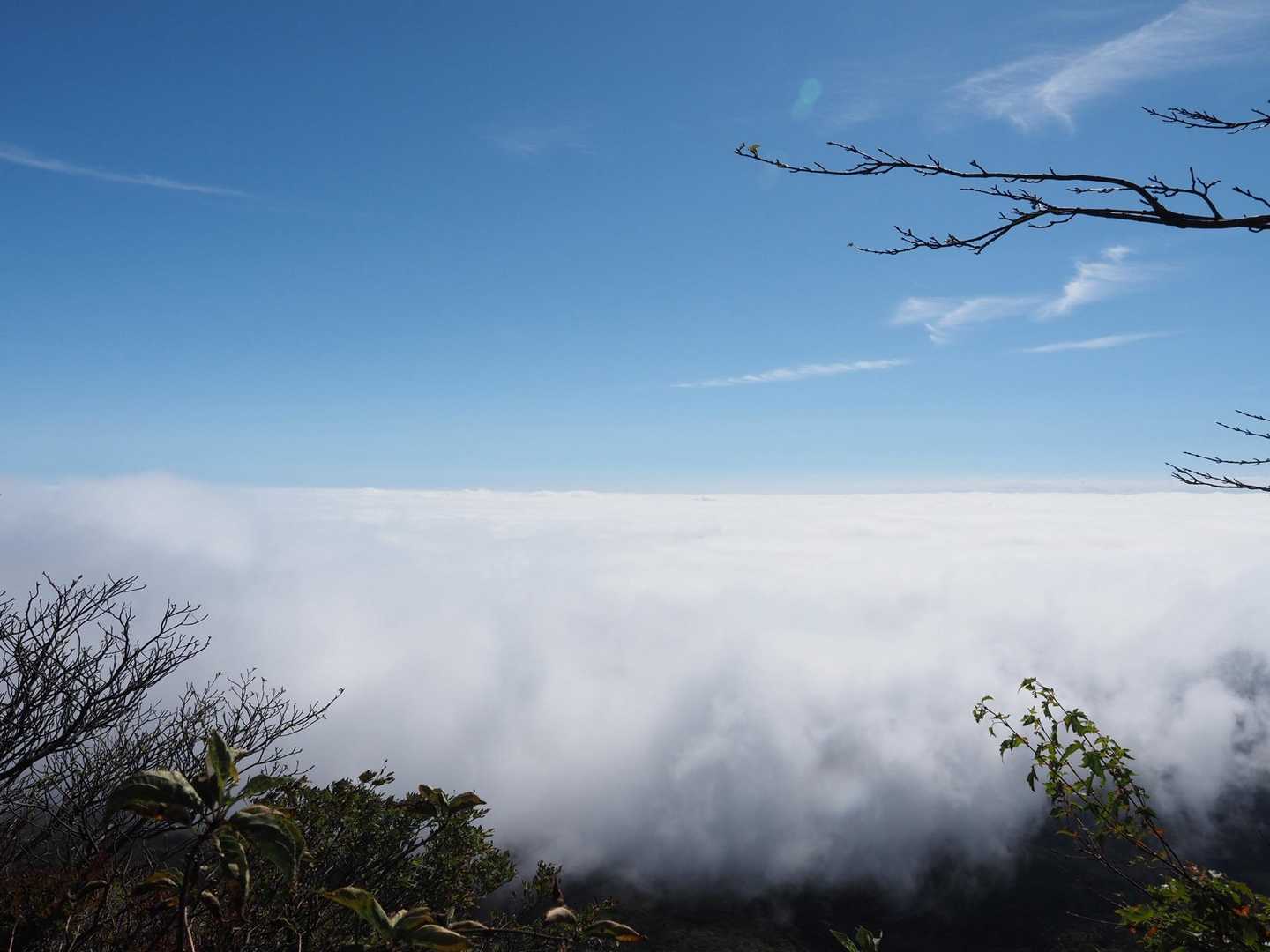 大船山 池窪登山口コースの写真
