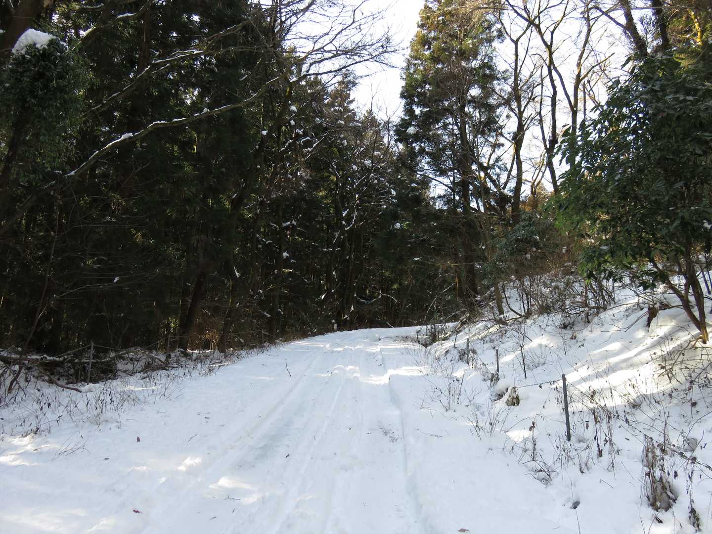 車道出合。真っ白でも車が通った跡があるとは。